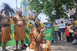 Peringatan survei tentang proyek raksasa di Papua tampaknya diabaikan